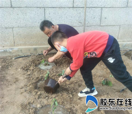 种辣椒