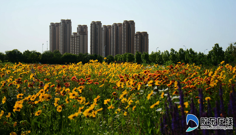 dsc_0293_fuben_fuben