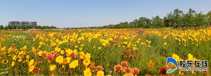 img_20200606_154843_fuben