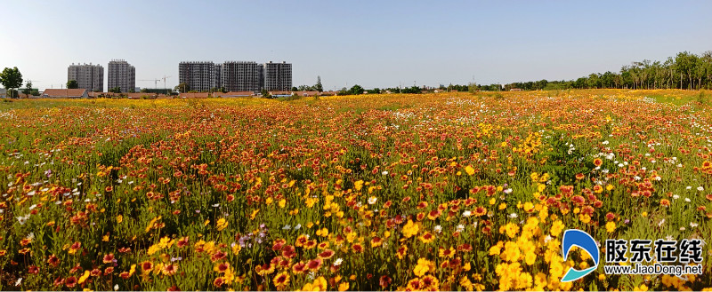 img_20200606_164553_fuben