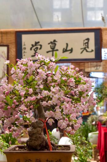 6月17日烟台 潘家园 夜市开市 500个摊位免费摆喽 胶东头条 手机胶东在线