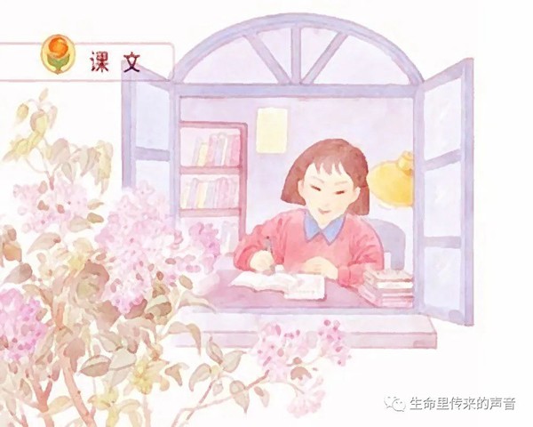 图2(1)