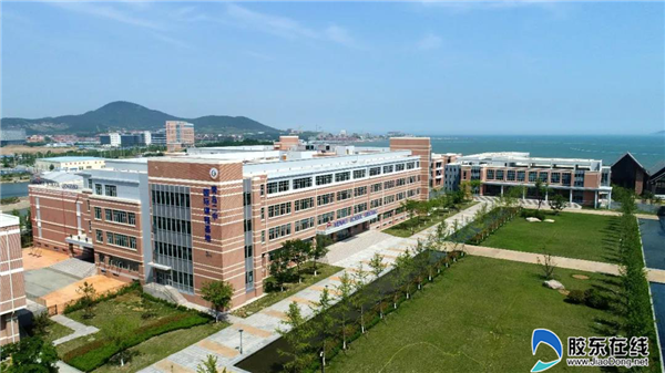 图片6