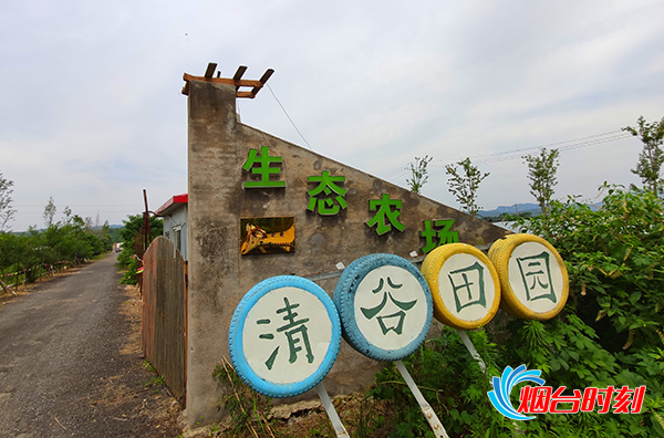 清谷田园2