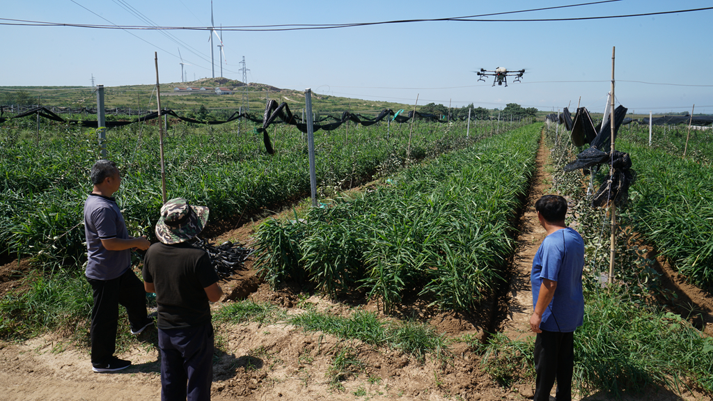 ΢��ͼƬ_20200909152452