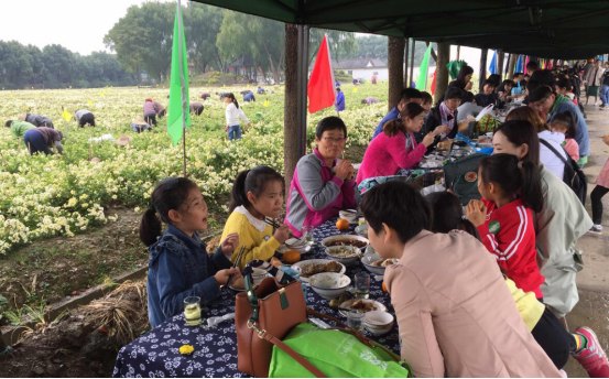 蓬莱农民丰收节新闻通稿(前宣)1291