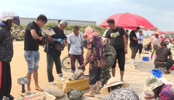 海边空地上的渔获批发市场