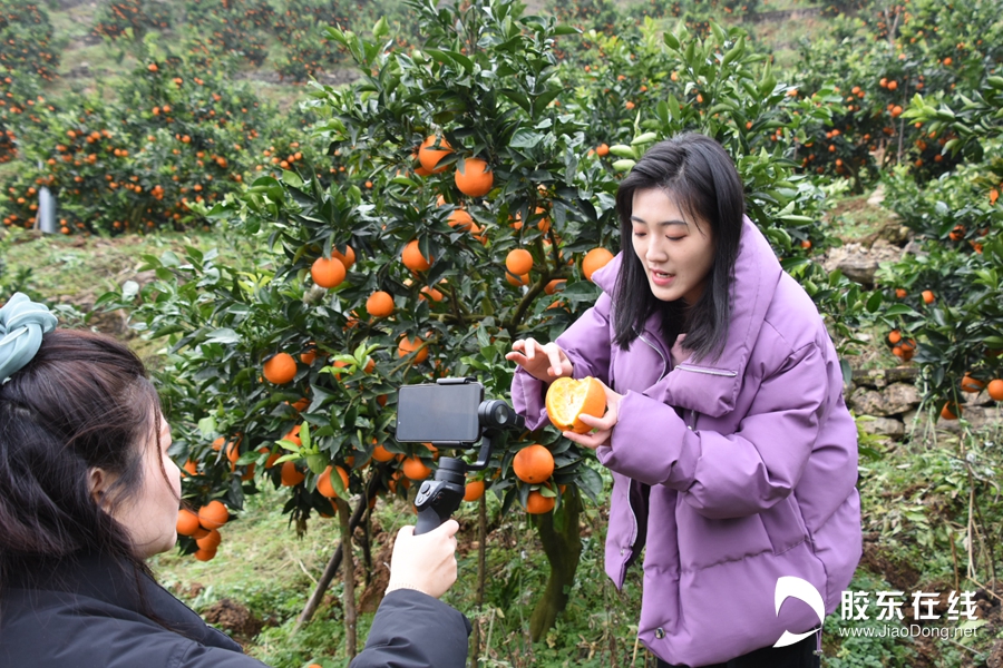 ΢��ͼƬ_20201204113843_����