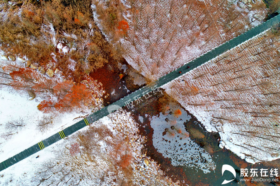 牟平鱼鸟河雪1