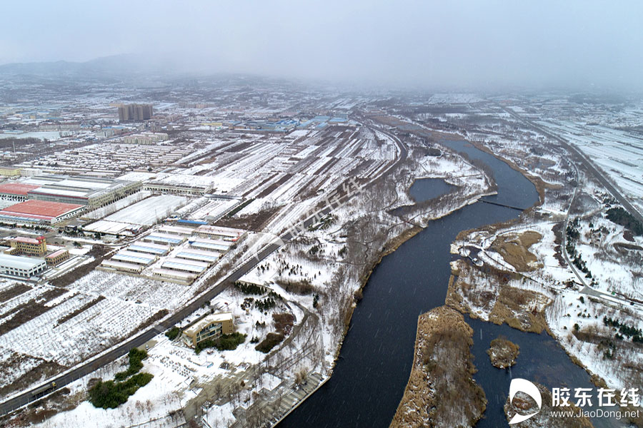 牟平鱼鸟河雪2