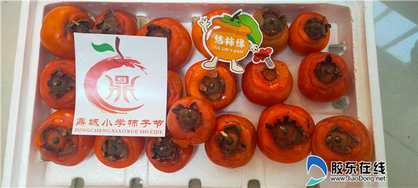 相聚“柿”緣