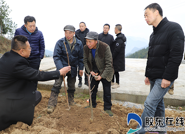 2020年山东城市经济_2020山东十大财经事件