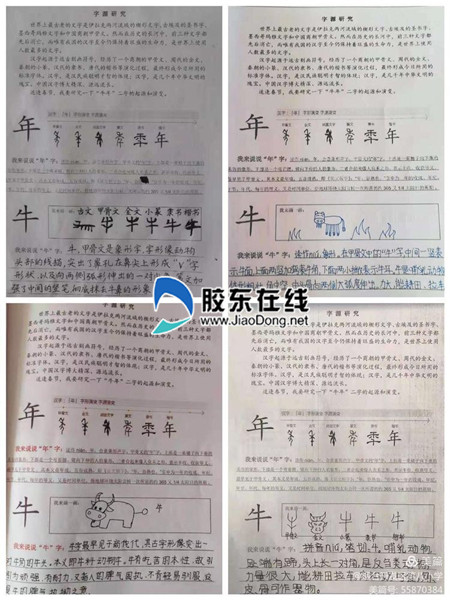 202102072301516444_副本