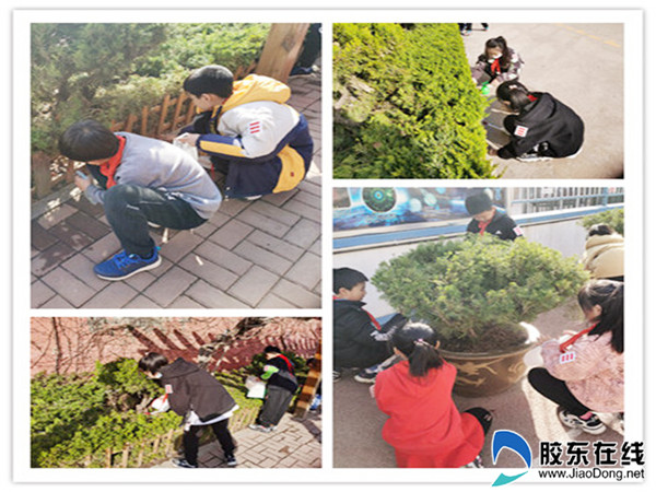 202103051022541528_副本