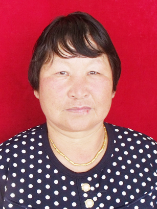 诚实守信刘正凤