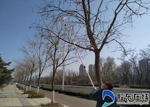 图片3_副本
