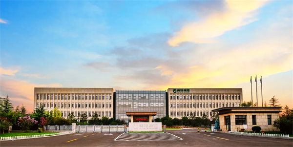 图片8