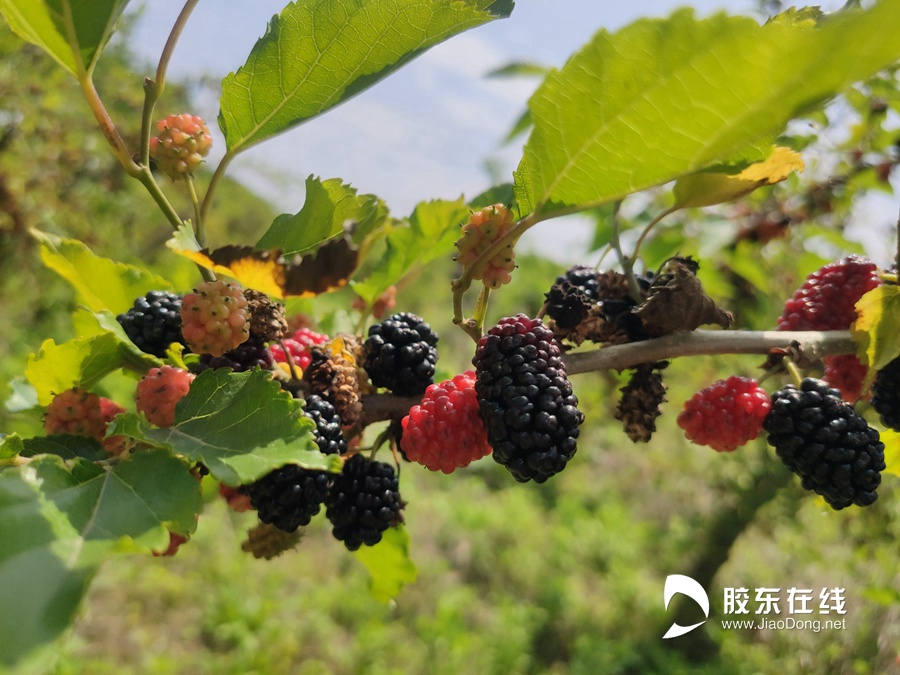 微信圖片_20210622090558