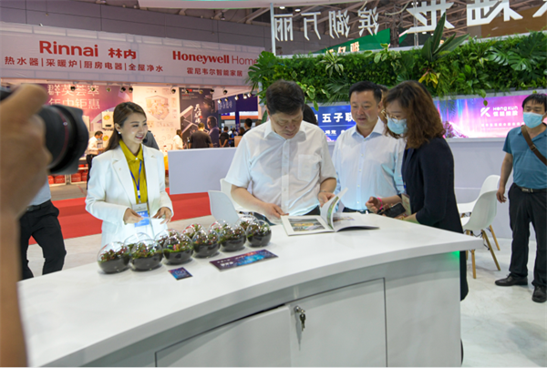 图片2