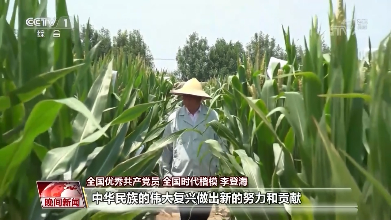 qq图片20210704174606