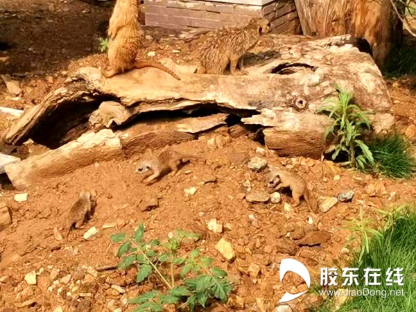 微信图片_20210716200754