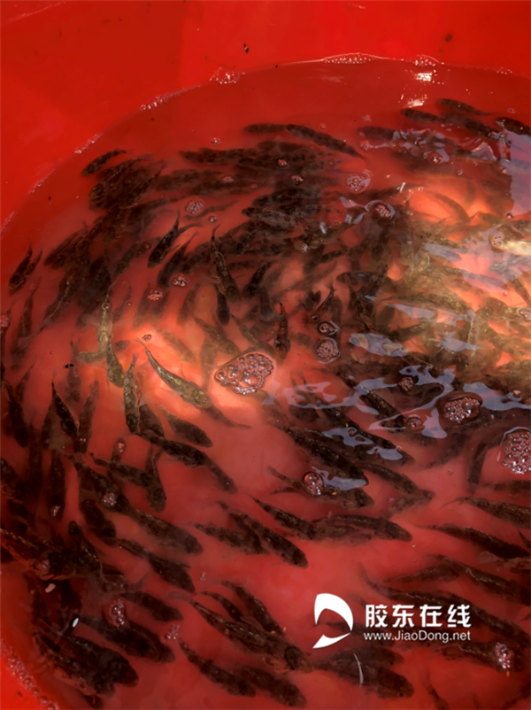 微信截图_20211020170632_副本