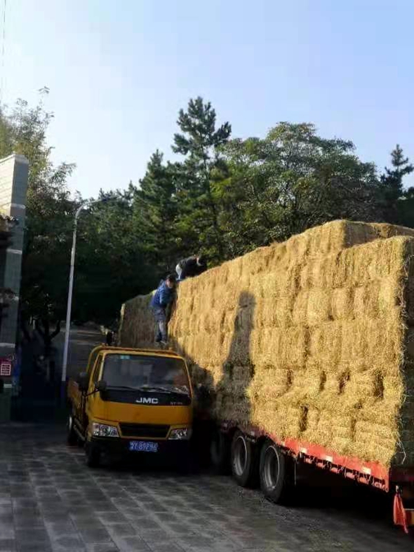 微信图片_20211025192923