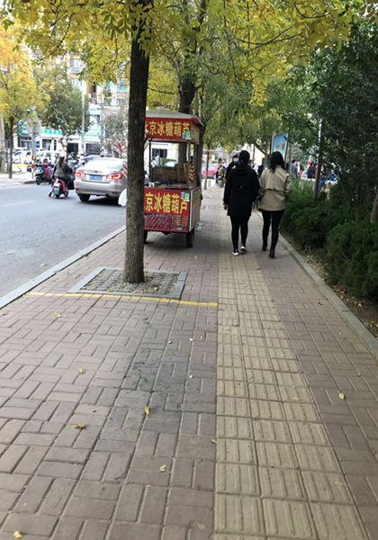 图片1