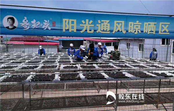 微信截图_20211115135702_副本