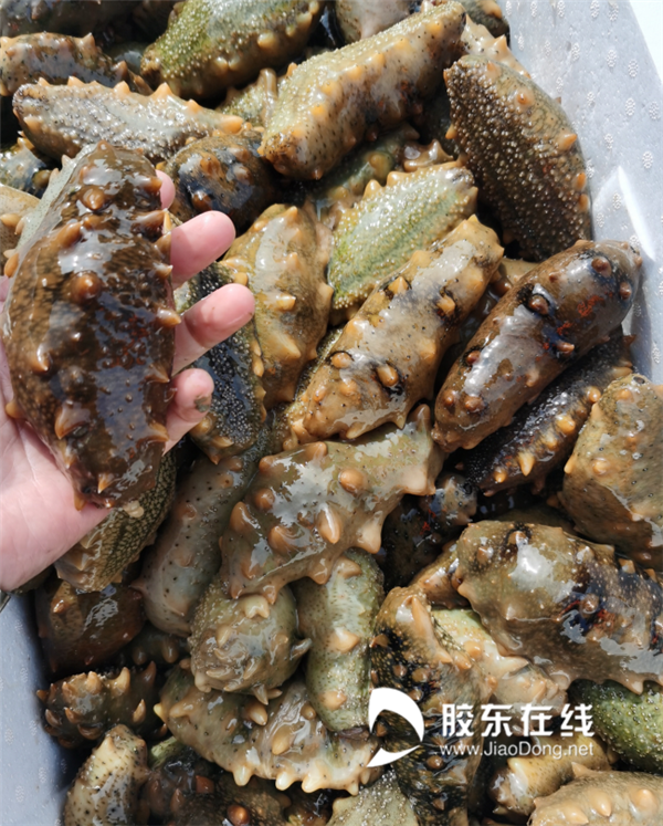 微信截图_20211115135802_副本