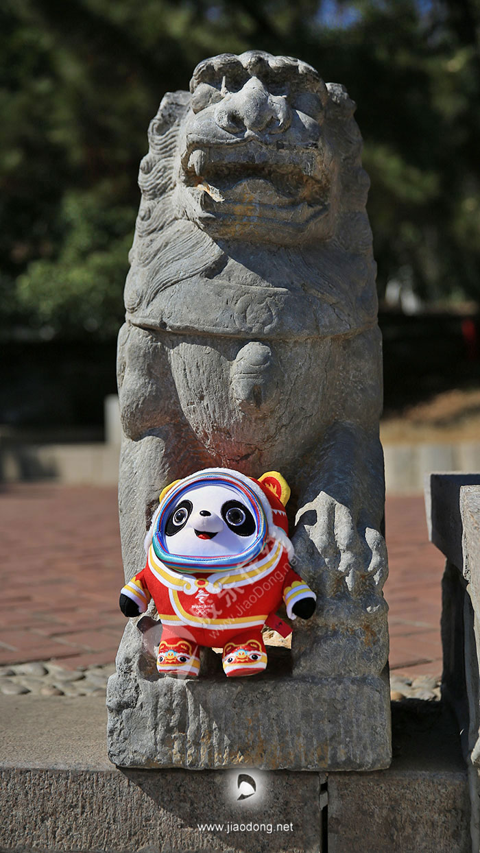 ���ն�����̨