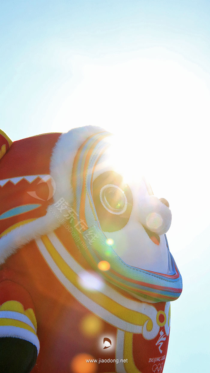 ���ն�����̨