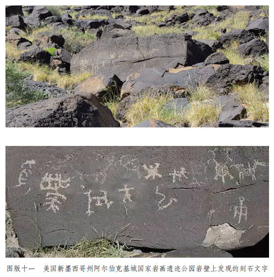 qq图片20220419133032