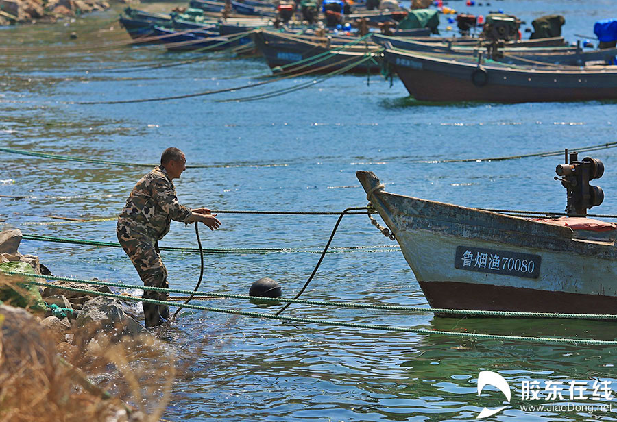 ��̨����