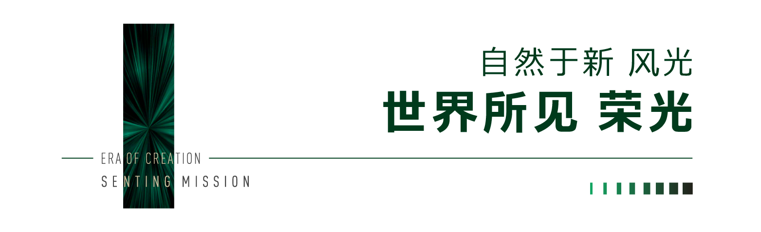 ͼƬ5