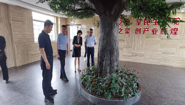 图片9