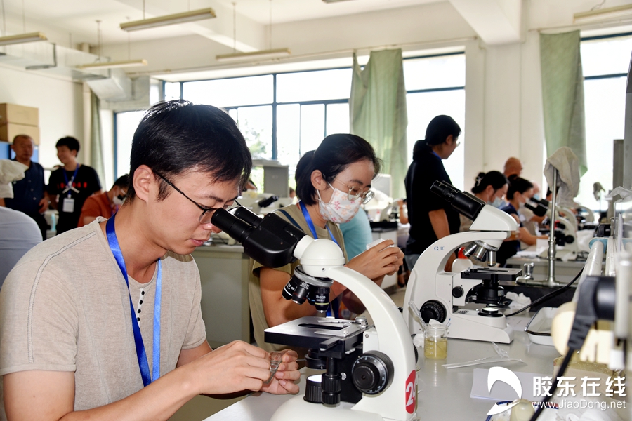 ΢��ͼƬ_20220817182811_����