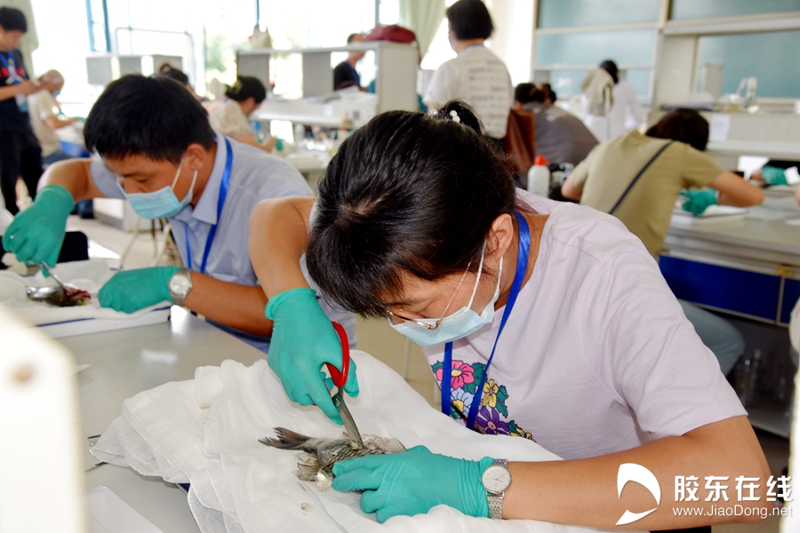 ΢��ͼƬ_20220817182806_����