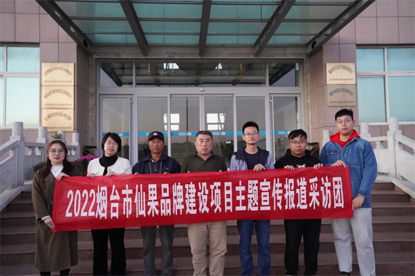 图片12