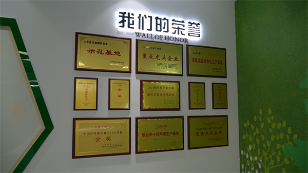 图片7