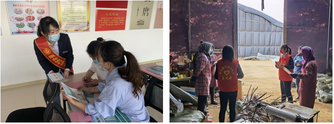 qq图片20221125165929