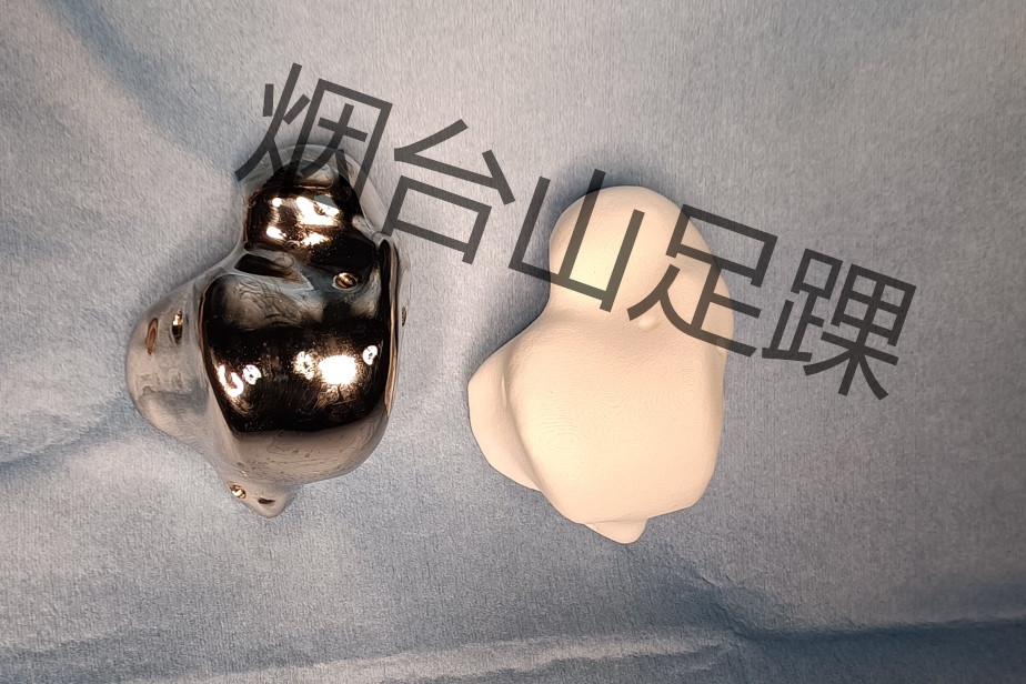 量身定制的3d打印全距骨假体