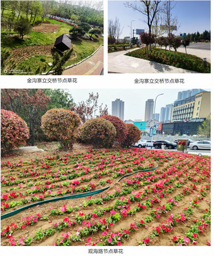 绿地整治