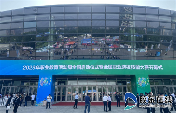 图片11