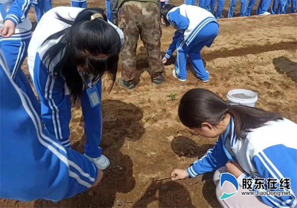 ΢��ͼƬ_20230605090536