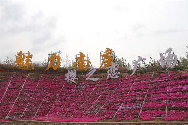羰¥ֵׯӣ֮㳡