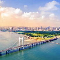 �Ʋ�������