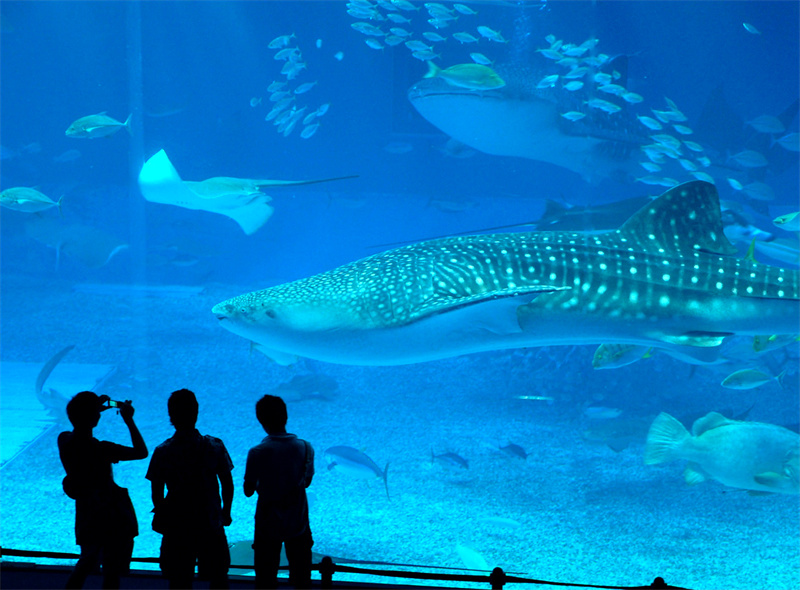 00310241002_98e877b3.jpg