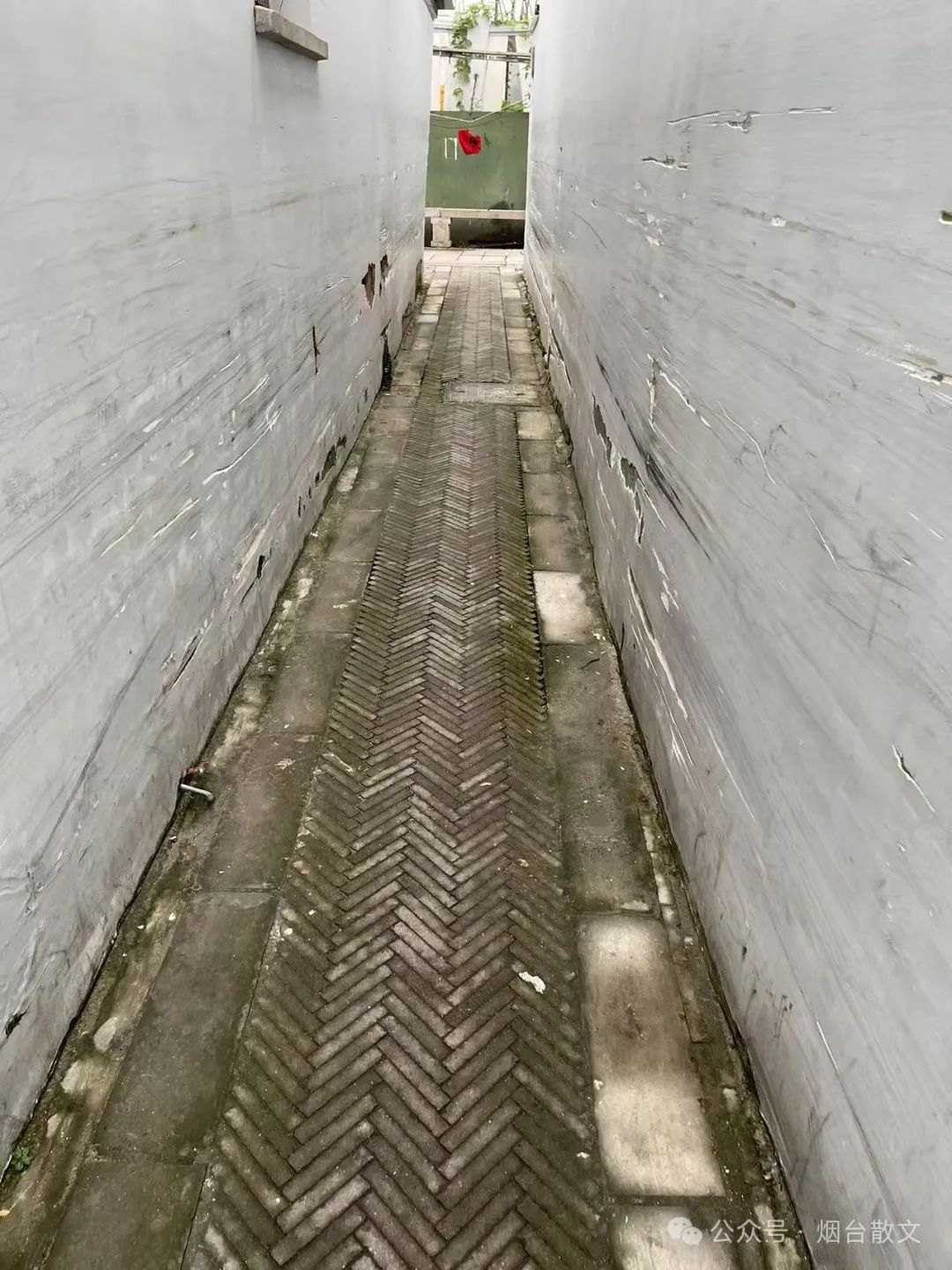ͼƬ