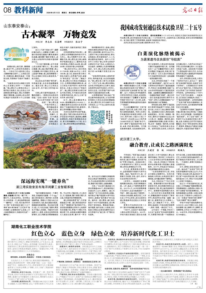 山东泰安泰山：古木凝翠